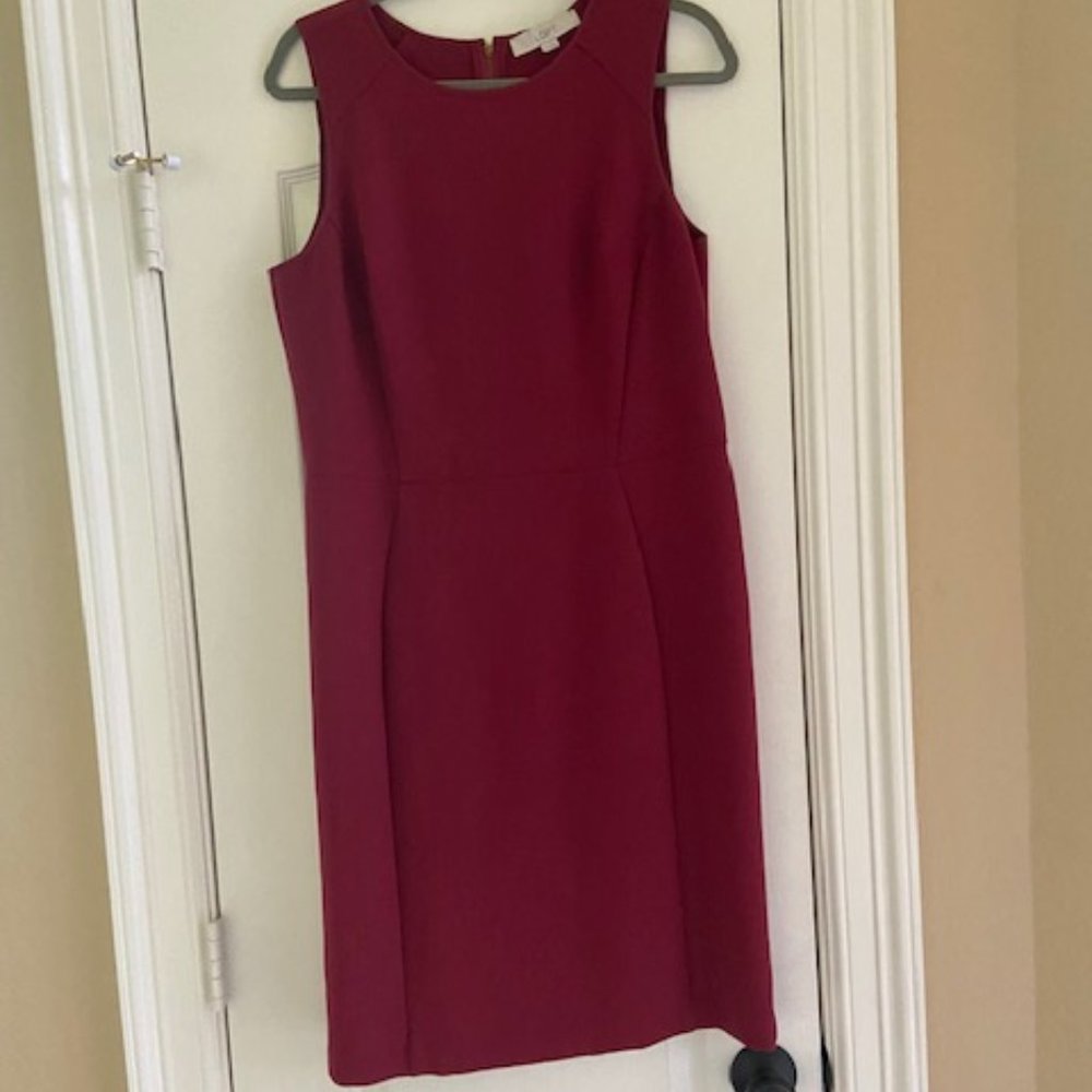 Ann Taylor Loft Sheath Dress, Size 12T, Russet